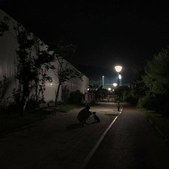 영