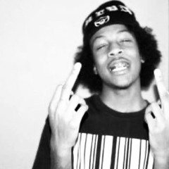 fr4evss