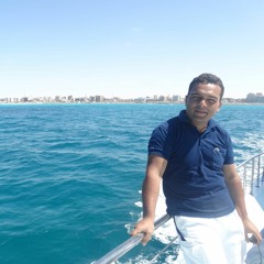 Mohammed Elhamouly