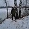 wifo