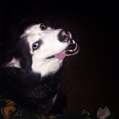 Brneky