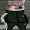 ⫷🅒🅗🅤🅜🅢⫸