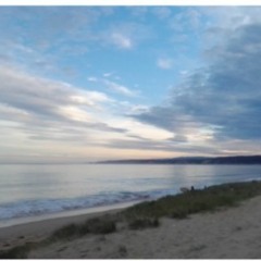 Rebecca @RogueWaveArts, Australia ☮️🐬xx