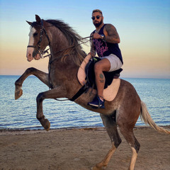 The Little Pharoah (TLP)