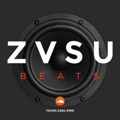 Z V S U Beats