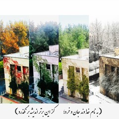 Mohammad Hossein
