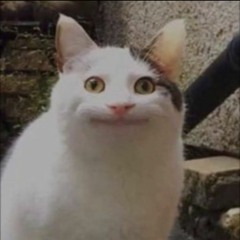 Apalzla