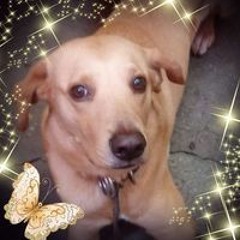 Blanca Estela Ber Van