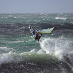 olivier leulier