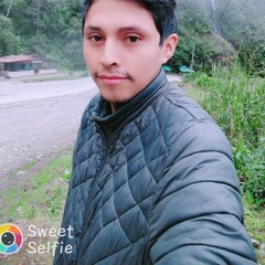 Nando Tingo Maria Huanuco
