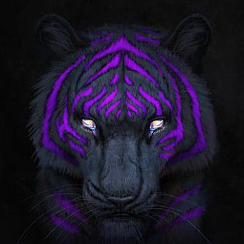 Tiger_games’s avatar