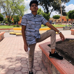 ∆CHINO_SAMM∆