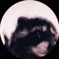 Kayra