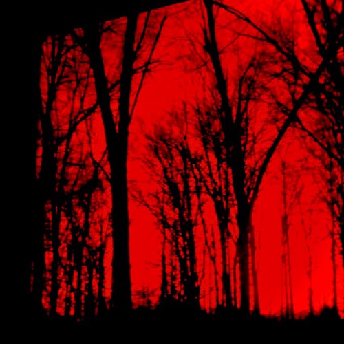 First Beat Type Beat(SN0W)