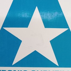 🐦‍🔥VaNdaL⚜️