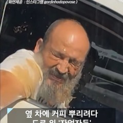 전손 플리