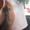 Zii_Pleaser