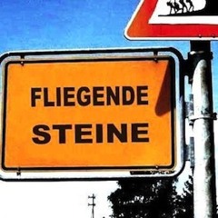 SteinzeitScheiben