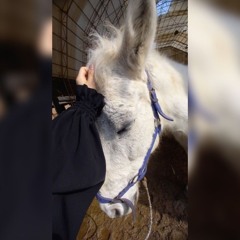 رُقَيَّة🤍🌊