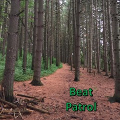 Beat Patrol