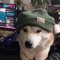 DreamyOkami