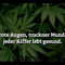 HITECHFREAK420