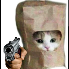sbirro