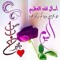 Noura Abdelsalam