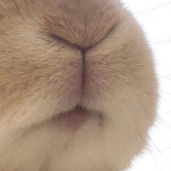 o0o