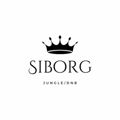 SiBorg