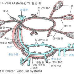 남기찬