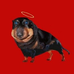 я еблан мэээ жироголдин мэээ