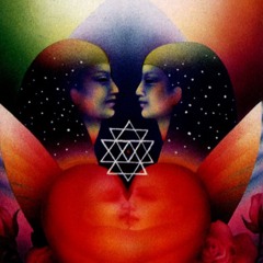 Aleksavisionary