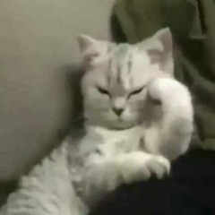 이아무개