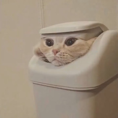 Neil Can't Do a Cartwheel