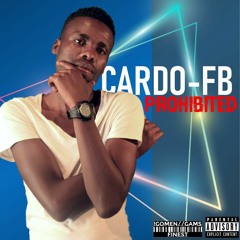Cardo Fbaby Bang HD