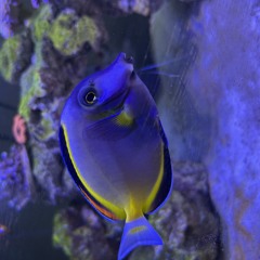 Huntingnfishingislife2013