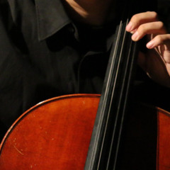 kochi_cellist