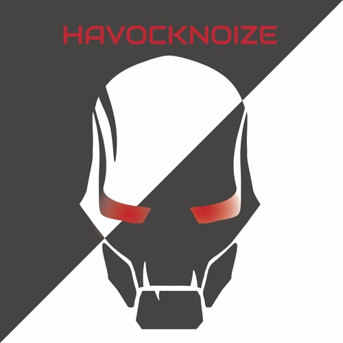 Havocknoize mixes’s avatar