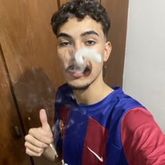 11leonardo