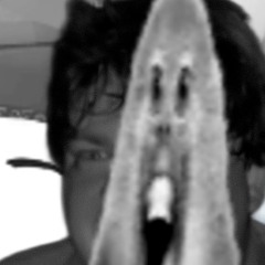stop