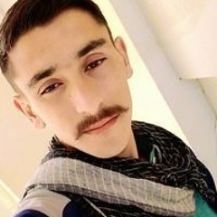 Talha Tahir Shigri