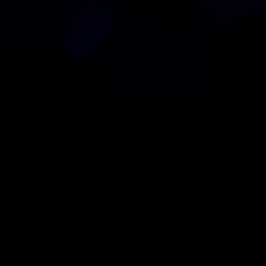 ︎︎