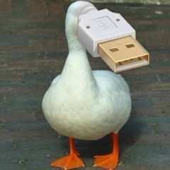 ComputerKoen