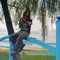 Senn