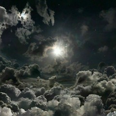 •♪°↑↓·¡¿!?¡¿·↓↑°♪•