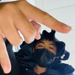 anas2lit