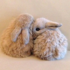 bun