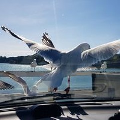 Tricia Thompson Van Camp