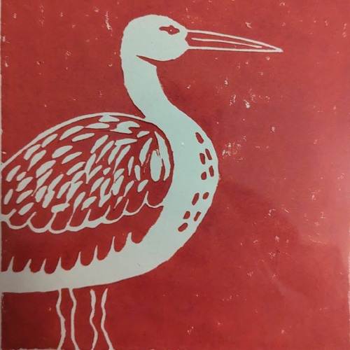 Red Stork’s avatar